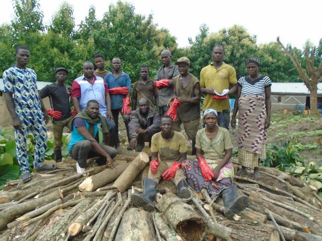 Newly completed project in Benin promotes sustainable use of forest resources - Nordic Development Fund