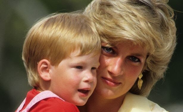 Prince Harry Says Will Regret Last Conversation With Diana For Rest Of His Life