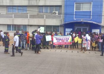 Uneasy Calm At Bollore Transport & Logistics Nigeria Over Acquisition By MSC Group