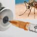 Malaria Vaccine Gets Green Light For Use In Ghana