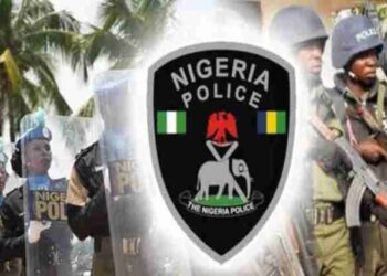 IGP Egbetokun Warns Nigerians To Stop Using Police Emergency Numbers To Obtain Loans From Palmpay, Others