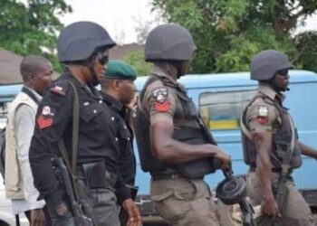 Ogun Police Arrest 116 Suspected Cultists