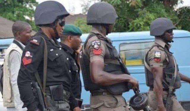 Ogun Police Arrest 116 Suspected Cultists
