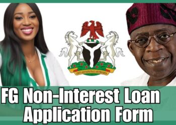 More Questions As FG Announces N75 billion Interest-Free Loan For Market Women