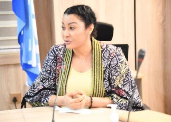 Nigeria Secures $30Bn Investment Commitment In One Year-Industry Minister