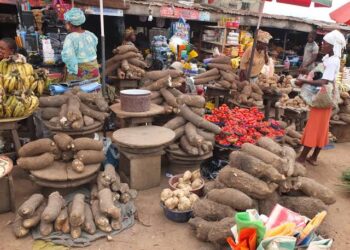 Again, Nigeria’s Bureau Confirms Citizens’ Hardship, As Food Prices For June Hit 40.87%