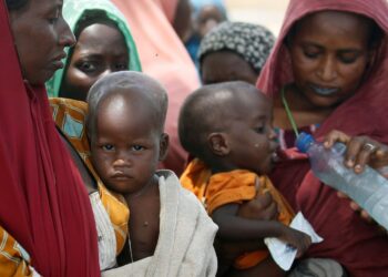 Insecurity, Rising Costs Push 31 mln Nigerians Into Acute Food Shortage, Study Says