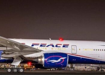 Lagos-Bound Air Peace Flight Makes Emergency Stop On Runaway Over Bird Strike