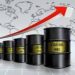 Nigeria Records Increase In Crude Oil Production-OPEC Report