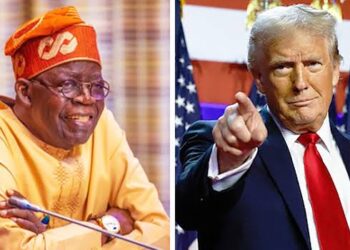 Avoid Confrontation With Trump, Akinyemi Advises Tinubu