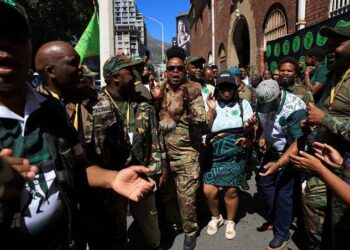 South African Party Accuses White Group Of Treason Over Trump Attack