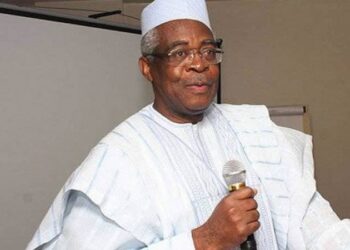 ‘Defend Yourselves Against Insecurity,’ Former Defence Minister Tells Nigerians