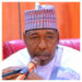 Borno Governor Zulum Accuses Politicians, Soldiers As Informants To Boko Haram