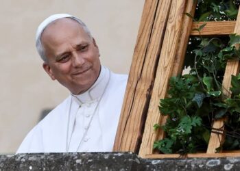 Pope Leo Interrupts Vacation To Appeal For Action On Climate Change 