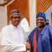 Buhari Could Have Been Long Dead If He Had Used Nigerian Hospitals-Adesina