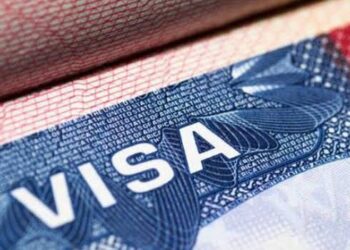 Why US Reduced VISA Validity For Nigerians- Presidency