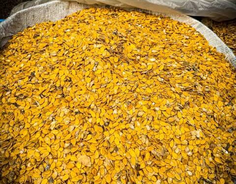 Egusi, Nigerian Melon Seed’s Journey Into Space