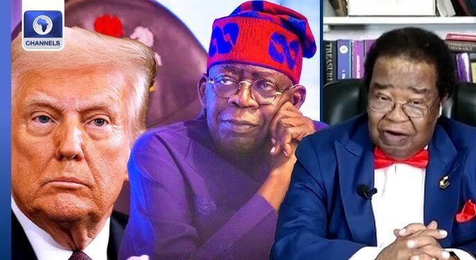 Trump Not Invading, Offering To Help Nigeria, If We Don’t Want, Administration Must Show Determination-Akinyemi