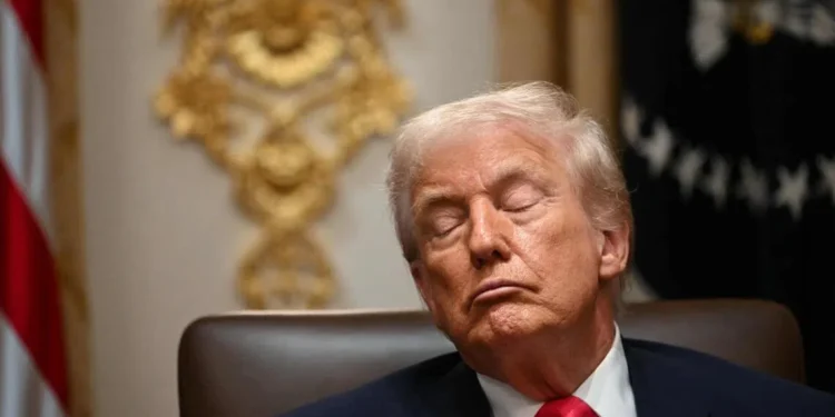 Trump Blames Boredom, Not Sleep, For Closed Eyes During Cabinet Meeting