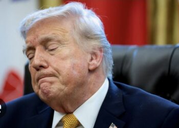 Trump Upset As US Partners Reject Call For Hormuz Warship Escorts