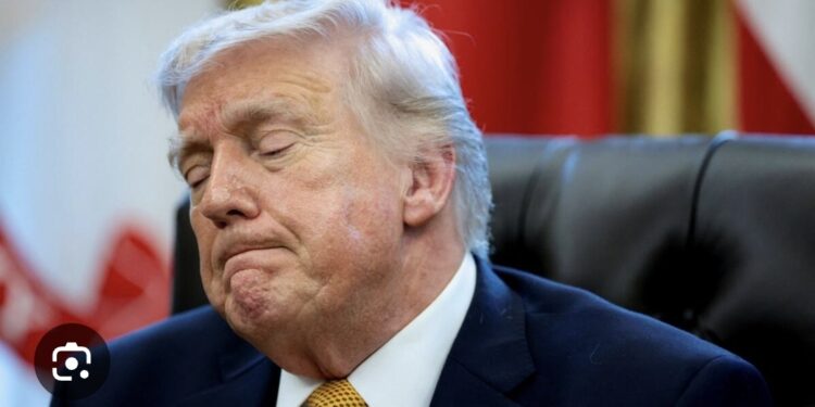 Trump Upset As US Partners Reject Call For Hormuz Warship Escorts 