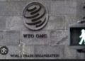WTO Talks End In Deadlock After Brazil Blocks Deal On E-Commerce Duties 