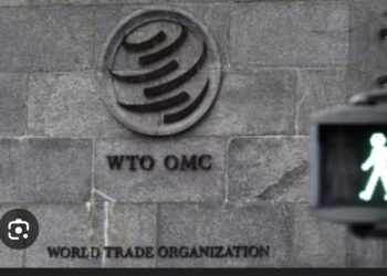 WTO Talks End In Deadlock After Brazil Blocks Deal On E-Commerce Duties