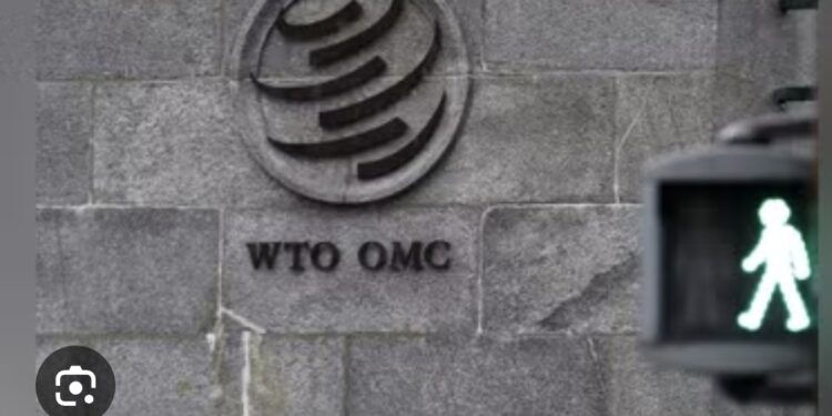 WTO Talks End In Deadlock After Brazil Blocks Deal On E-Commerce Duties 