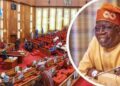 Senate Confirms  New Power, Foreign Affairs Ministers As Nigerians Ask: Will  Power, Budget Implementation Be Confirmed Too?