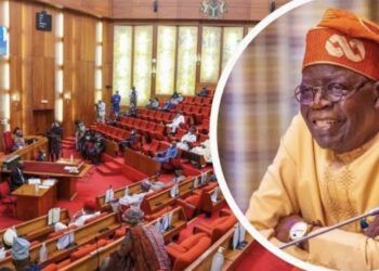 Senate Confirms  New Power, Foreign Affairs Ministers As Nigerians Ask: Will  Power, Budget Implementation Be Confirmed Too?