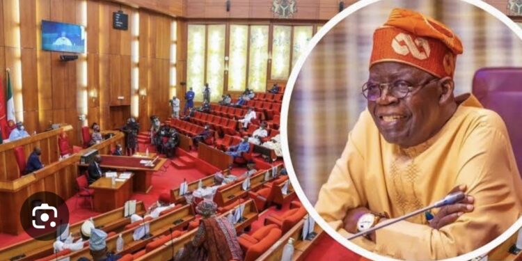 Senate Confirms  New Power, Foreign Affairs Ministers As Nigerians Ask: Will  Power, Budget Implementation Be Confirmed Too?