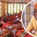 Senate Confirms  New Power, Foreign Affairs Ministers As Nigerians Ask: Will  Power, Budget Implementation Be Confirmed Too?