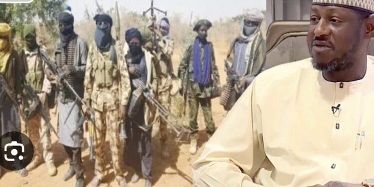 Katsina Governor Alleges Moles In Govt, Security Agencies, Communities Aiding Bandits