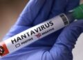 New Hantavirus Case Suspected On Remote Island As Contact Tracing Continues 