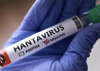 New Hantavirus Case Suspected On Remote Island As Contact Tracing Continues 