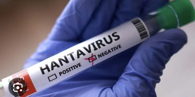 New Hantavirus Case Suspected On Remote Island As Contact Tracing Continues 