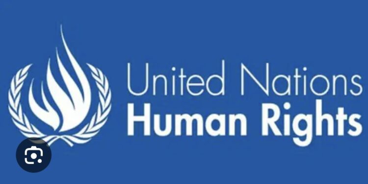 UN Calls For ‘Independent’ Probes Into Nigeria, Chad Airstrikes