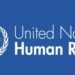 UN Calls For ‘Independent’ Probes Into Nigeria, Chad Airstrikes