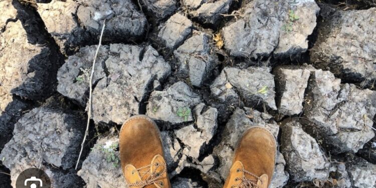 UN Urges World To Ready For Extreme Heat Risk From El Nino