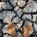 UN Urges World To Ready For Extreme Heat Risk From El Nino