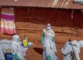 Nearly 500 Confirmed Cases In Central Africa Ebola Outbreak — WHO