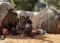 Congo Says 782 Ebola Cases Confirmed, Two New Health Zones Affected
