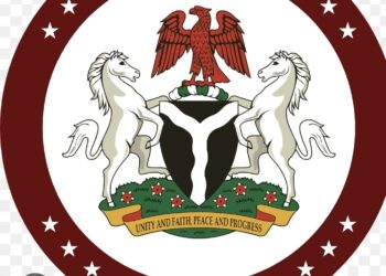 Senate Passes Bill For State Police Amid Fears Over Funding, Federalism Gaps