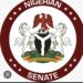 Senate Passes Bill For State Police Amid Fears Over Funding, Federalism Gaps