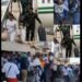 ‘Families Torn Apart’ As Nigerians, Others Evacuated Over Migrant Sweep