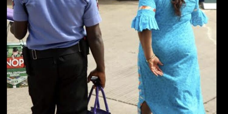 Pitfalls Of Proposed State Police- Agbakoba, Omole, Others
