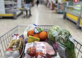 Pick n Pay Launches AI Grocery Shopping Assistant In South Africa