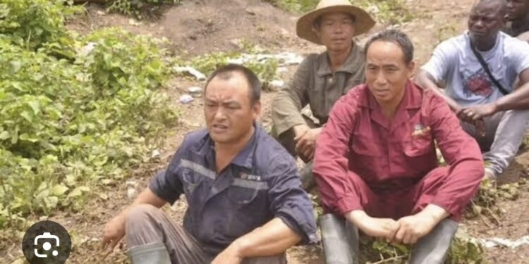 Three Chinese Nationals Arrested Over Alleged Illegal Mining In Nasarawa