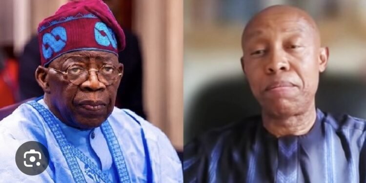 Extended Vacation: Tinubu Can’t Interminably Run Nigeria Like Paul Biya Runs Cameroon- Chidi Odinkalu