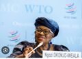 WTO Raises Merchandise Trade Growth Forecast Amid AI’s Hit Offsets From Middle East Crisis